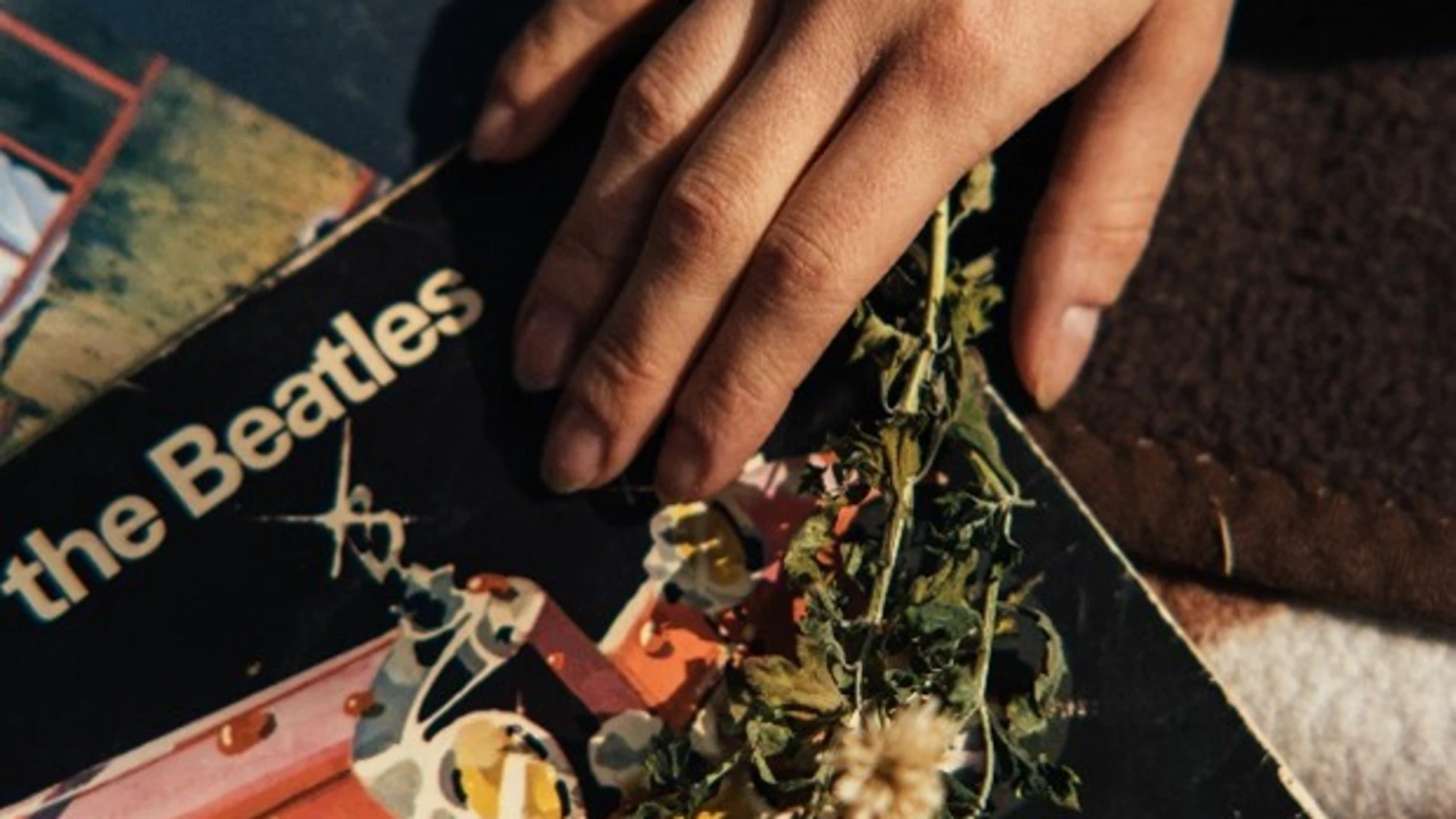 Mano agarrando un disco de los Beatle