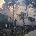 AMP.- El incendio de Montitxelvo (Valencia) sigue activo y quema ya 2.580 hectáreas en un perímetro de 38 kilómetros