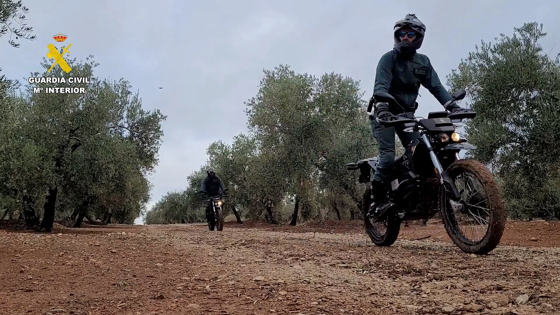 La Guardia Civil activa un dispositivo para evitar robos de aceituna en Andalucía