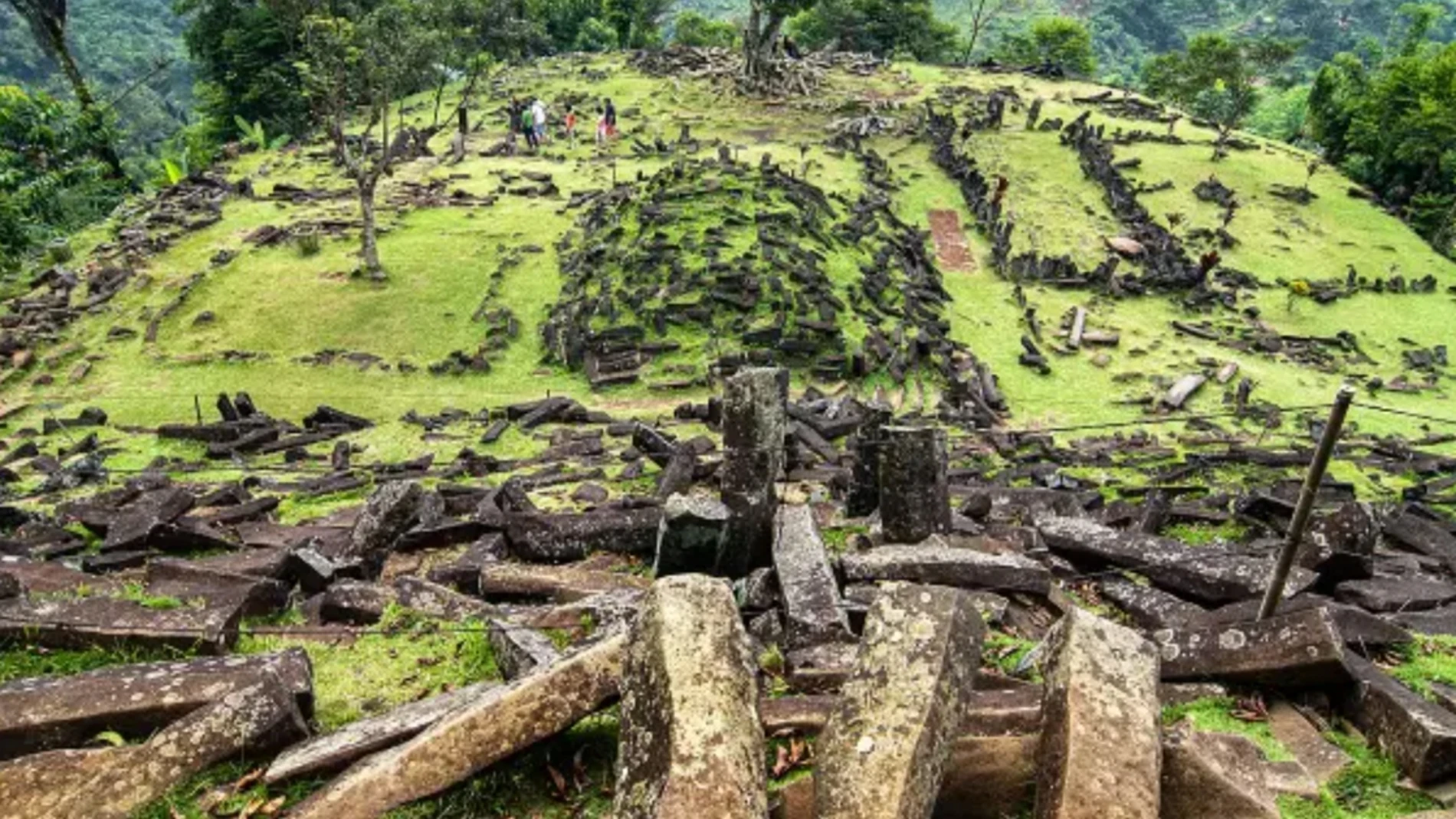 Fauna De Java Descubrimiento arqueológico de última hora: la pirámide más antigua del ...