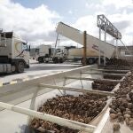 Recogida de remolacha en la fábrica de Olmedo de ACOR
