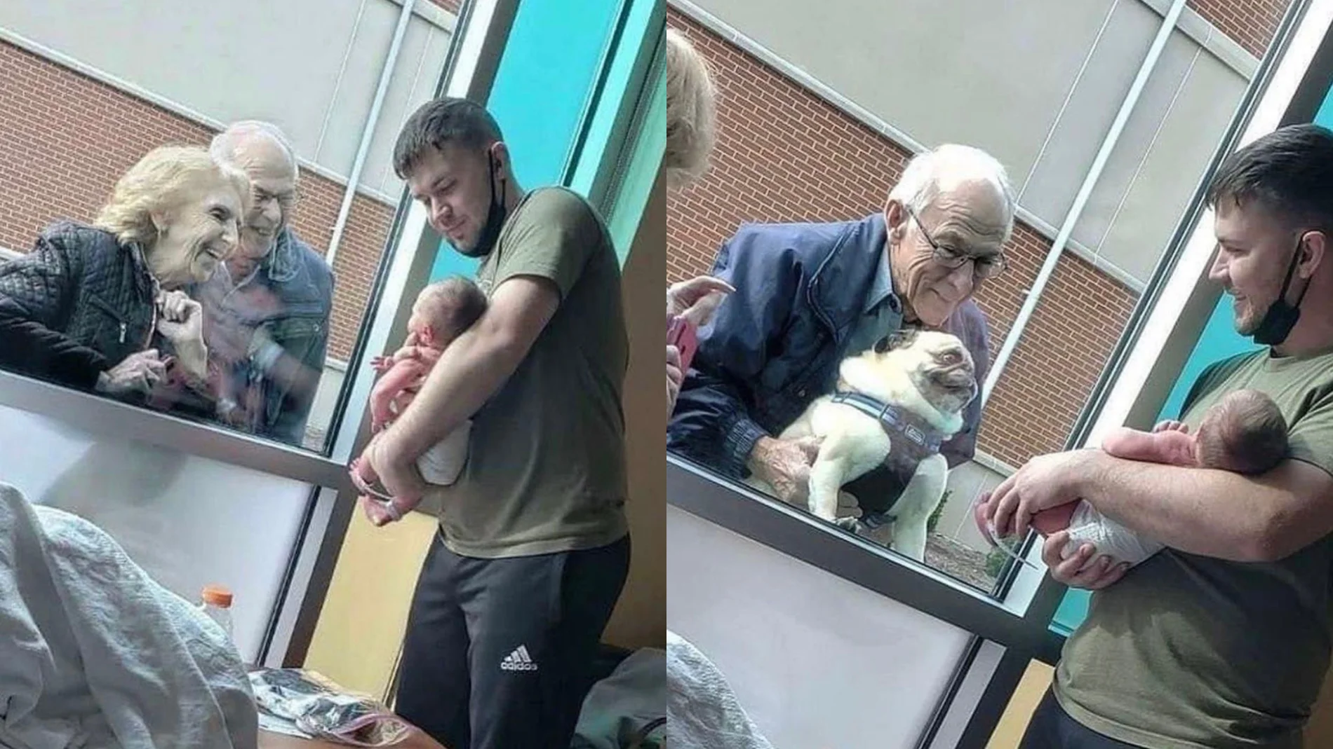 Internet se conmueve con una secuencia de fotos