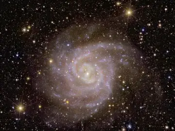 Galaxia espiral IC 342 ESA/Euclid