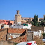 Una rata muerde a una niña de ocho años tras entrar en su casa en Badajoz