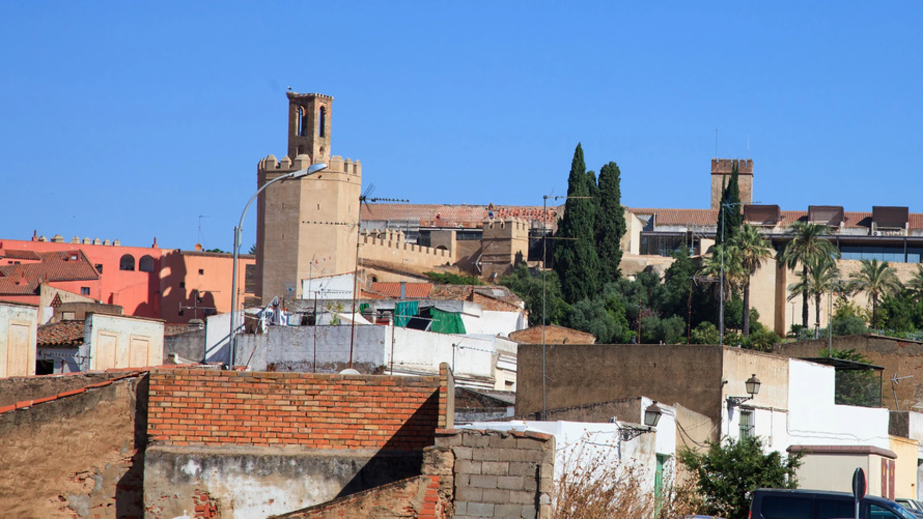 Una rata muerde a una niña de ocho años tras entrar en su casa en Badajoz