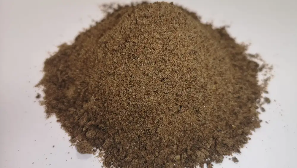 Proteína transformada