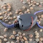El CSIC desarrolla un robot que reproduce el movimiento de un animal extinto hace 400 millones de años