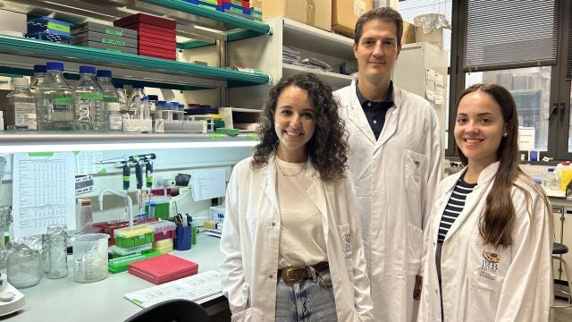 IRB Barcelona descifra cómo la proteína MAF favorece la metástasis del cáncer de mama