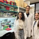 IRB Barcelona descifra cómo la proteína MAF favorece la metástasis del cáncer de mama