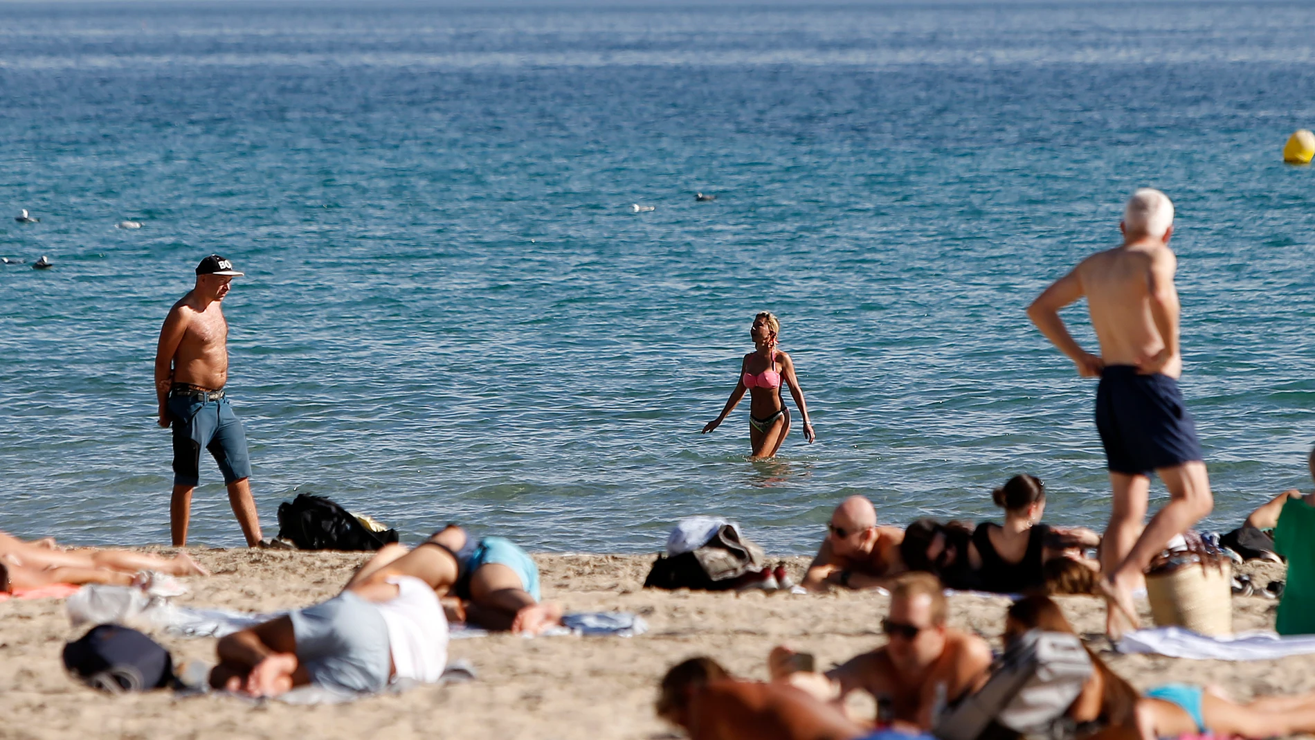 En la imagen, la playa del Postiguet, en Alicante, este 14 de noviembre