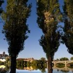 Salamanca amplía la red ciclista