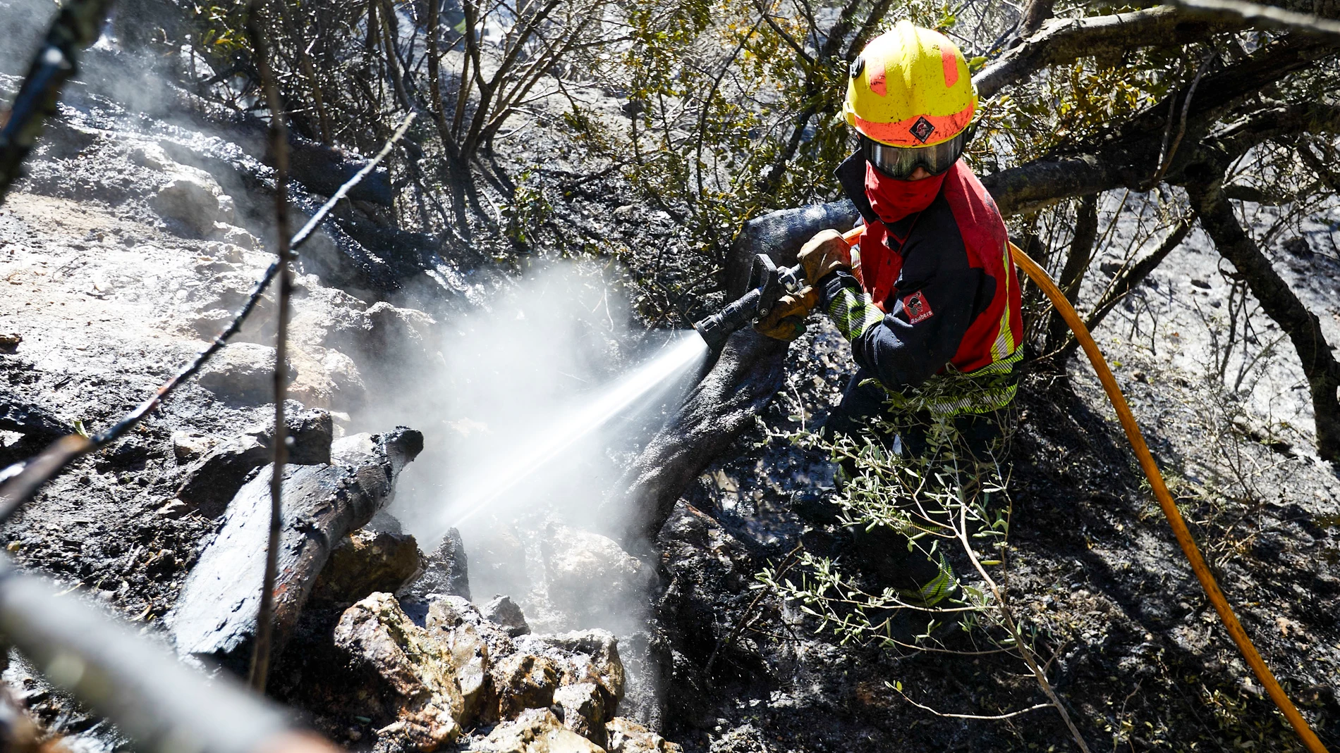 GRAFCVA6749. RÀFOL DALMÚNIA (ALICANTE), 15/11/2023.- El virulento incendio forestal declarado durante la noche de este martes en la sierra de Segària de El Ràfol d'Almunia (Alicante), al norte de la provincia, se ha quedado en un gran susto ya que ha logrado ser estabilizado después de calcinar "sólo" 43 hectáreas .EFE/ Natxo Francés