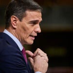 El presidente del gobierno, Pedro Sanchez