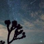 Lluvia de estrellas de las Leónidas: cómo y cuándo verlas