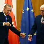 Turkish President Erdogan meets German President Steinmeier in Berlin