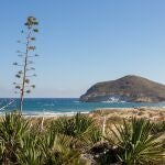Playa de Los Genoveses, ubicada en el Parque Natural Cabo de Gata-Níjar (Almería)