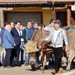El consejero Suárez-Quiñones observa los carros engalanados