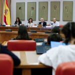 Pleno infantil en el Congreso de los Diputados con motivo del Día Mundial de la Infancia.