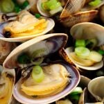 ¿De qué manera afecta el marisco a la salud?