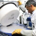 Más de 60.000 embriones congelados están abandonados en España