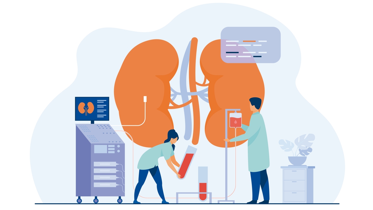 Convocada la novena edición de ayudas económicas para estudiantes con enfermedad renal