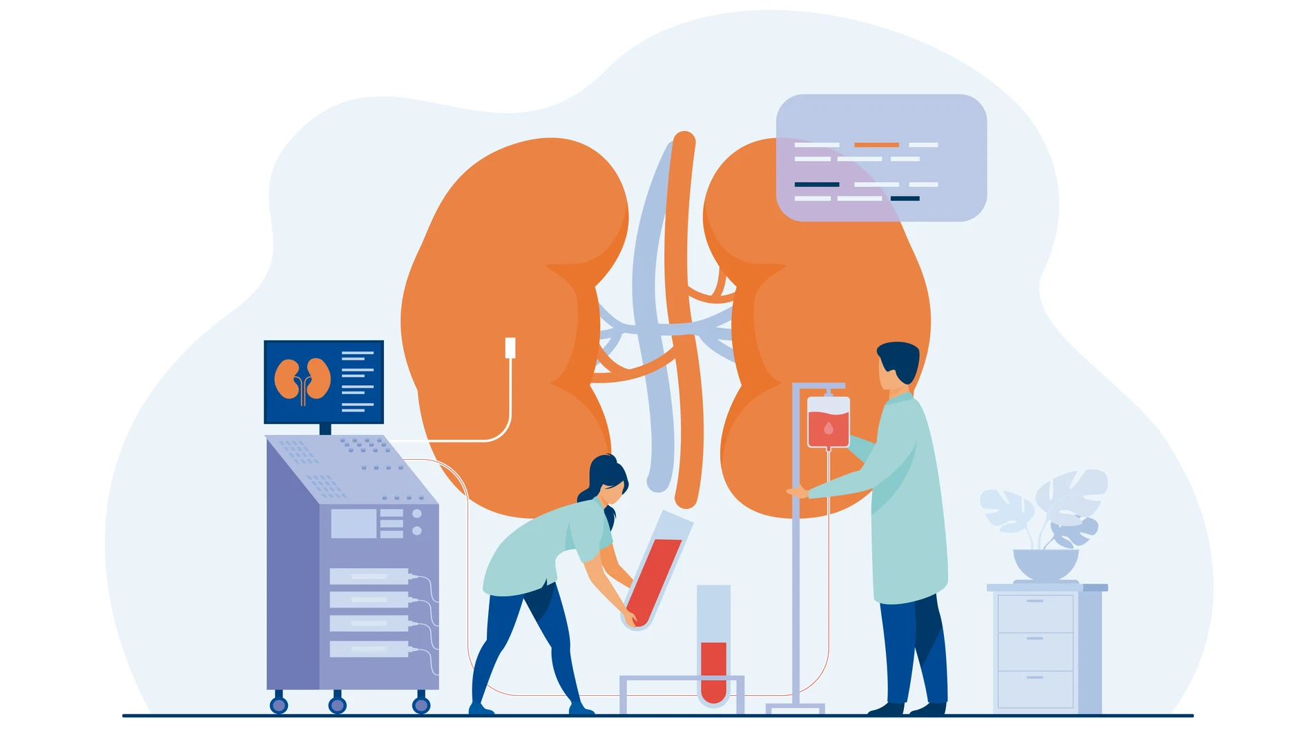 Enfermedad renal