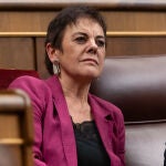 Aizpurua afirma que Otegi sería "un perfecto" candidato a lehendakari pero hay otras personas que también lo pueden ser