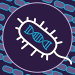El análisis de millones de genomas ha permitido descubrir nuevos tipos de CRISPR.