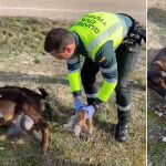 La Guardia Civil de Tráfico 