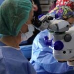 Científica mira a través de un microscopio