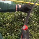 Un agente inspecciona las plantas incautadas
