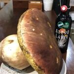 El boletus "made in Zamora" más grande jamás encontrado