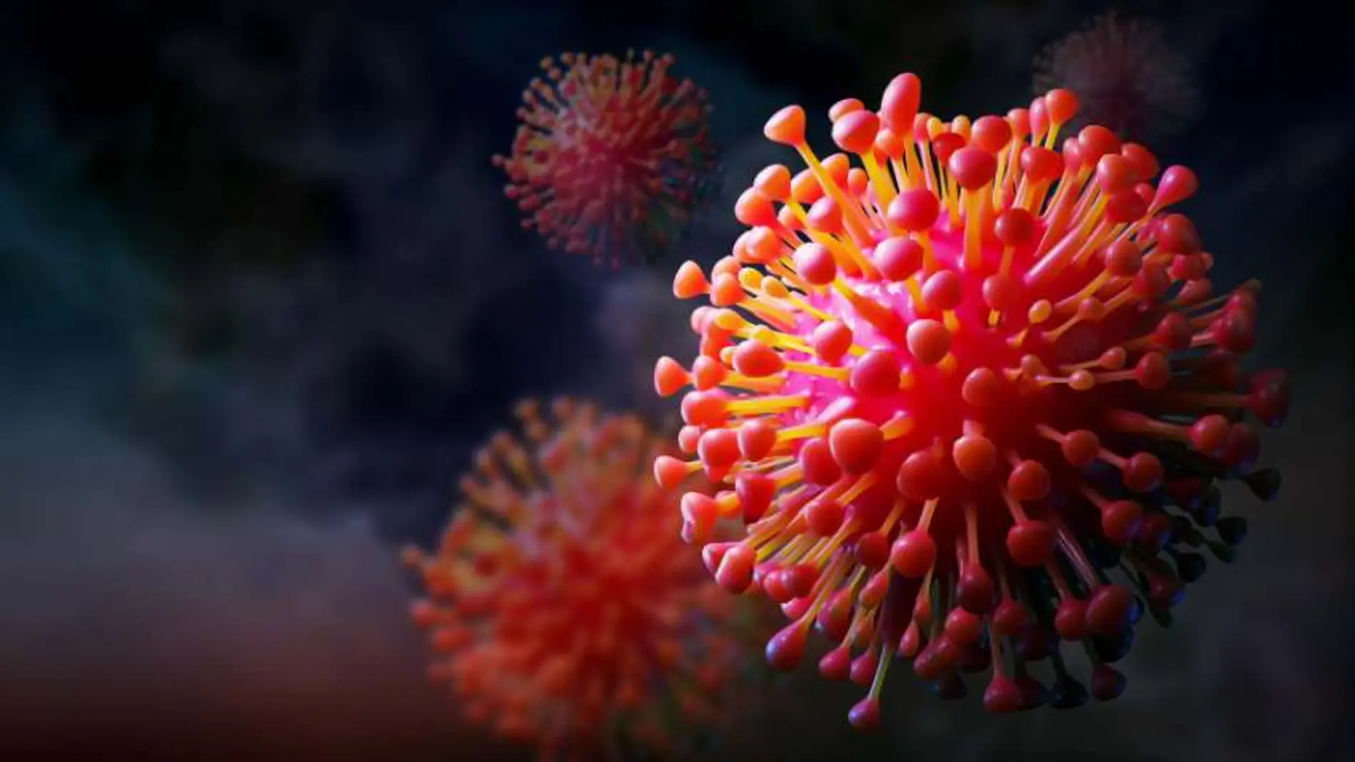 virus