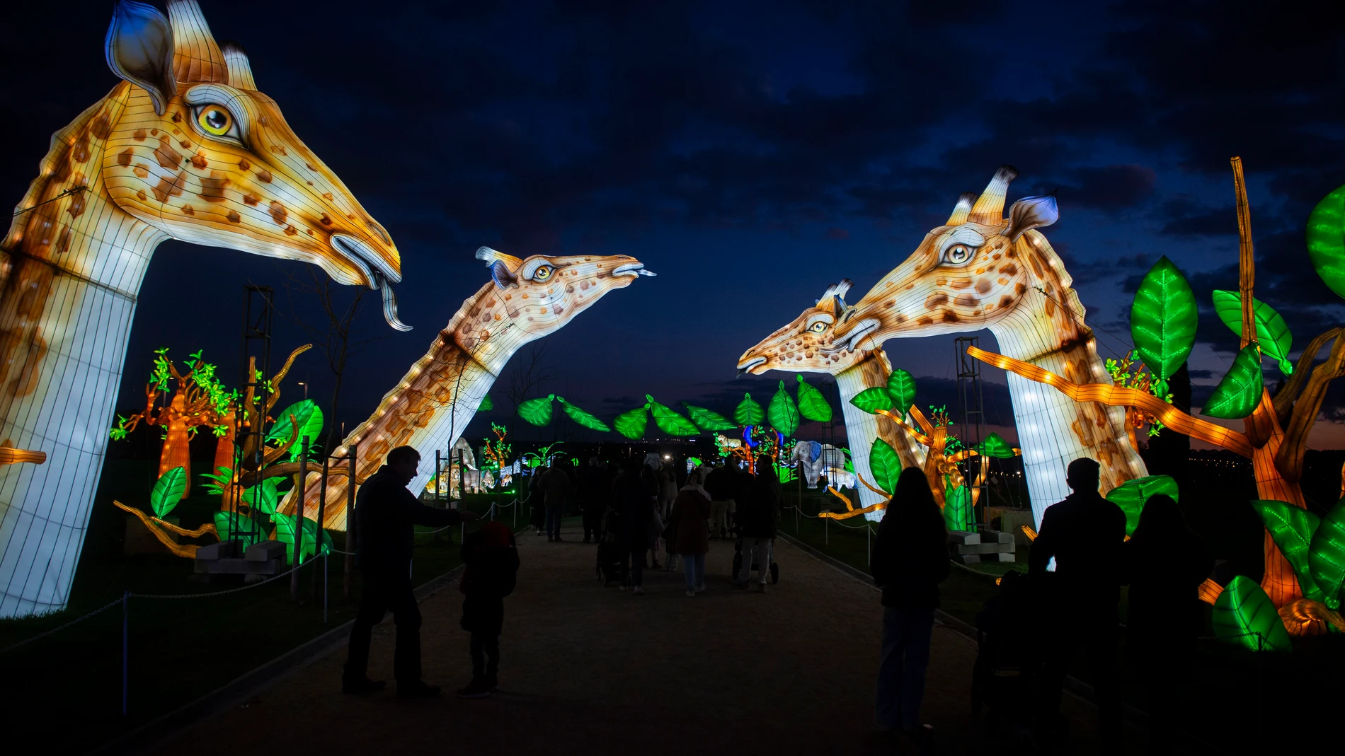 Varias personas pasean viendo la decoración, durante una visita al zoo ‘Brilla Zoo Madrid', en el Parque Juan Carlos I, a 2 de diciembre de 2023, en Madrid (España). El Parque Juan Carlos I se convierte en el zoo más grande del mundo con ‘Brilla Zoo Madrid', una experiencia inmersiva con más de 500 esculturas luminosas de animales. Este zoológico tecnológico está dividido en 30 escenas que representan diferentes momentos del mundo animal. Su recorrido se extiende a lo largo de 1,3 kilómetros ...