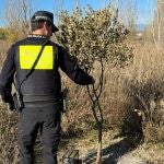La Policía Local de Huesca se incauta, gracias a la colaboración ciudadana, de varias aves cazadas de forma ilegal