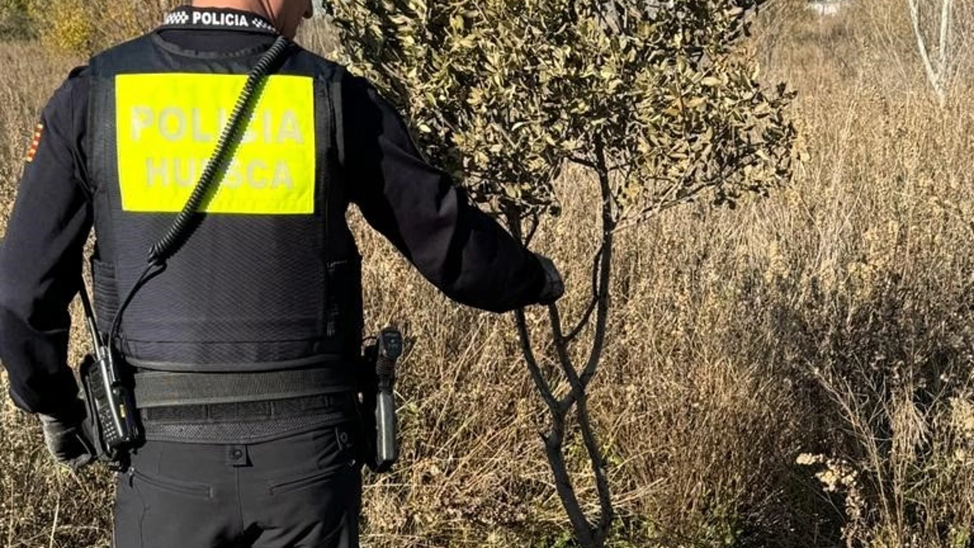 La Policía Local de Huesca se incauta, gracias a la colaboración ciudadana, de varias aves cazadas de forma ilegalAYUNTAMIENTO DE HUESCA06/12/2023