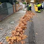 El ayuntamiento activa el «Plan Hoja» para cerrar otoño