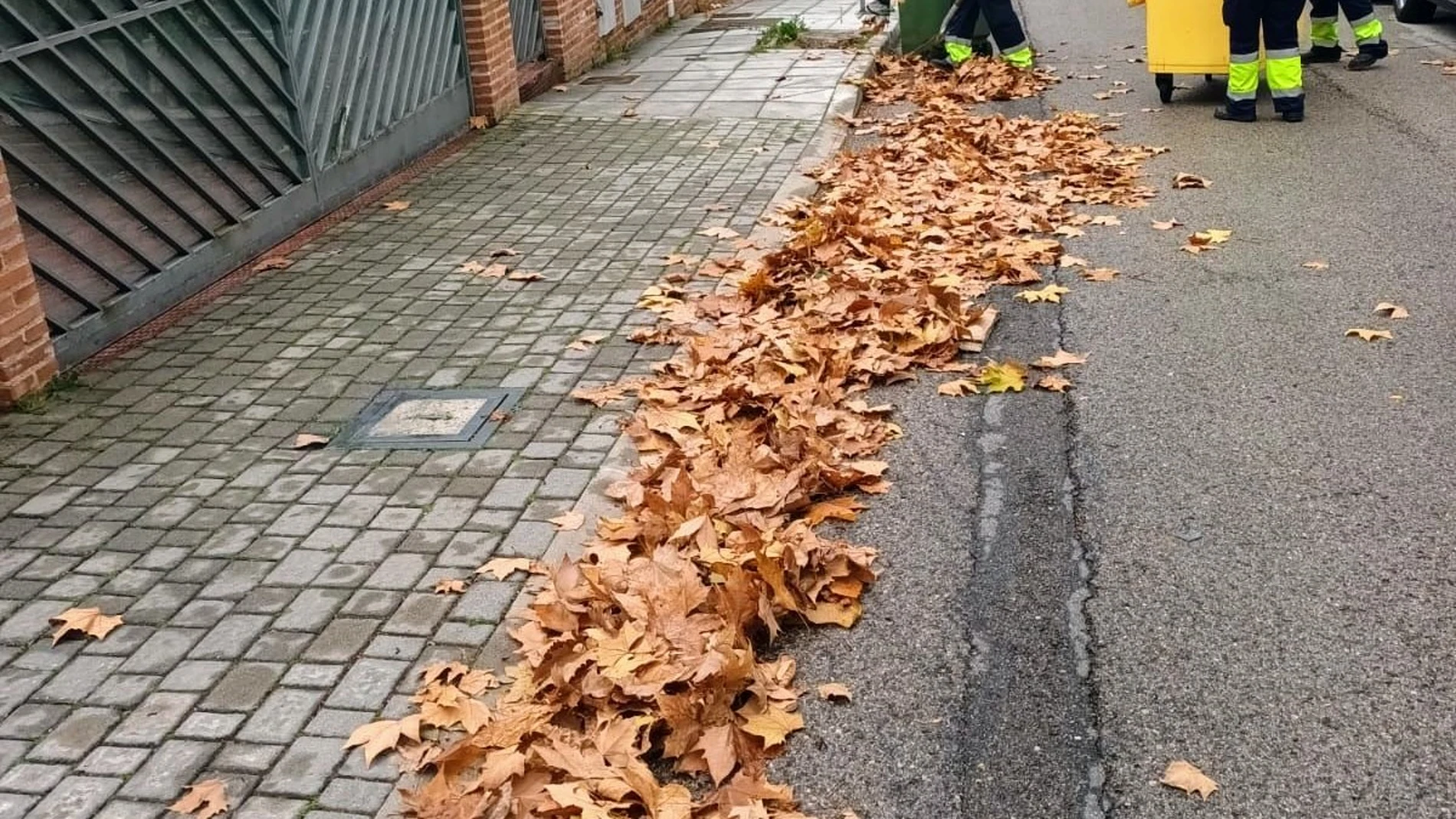 El ayuntamiento activa el «Plan Hoja» para cerrar otoño