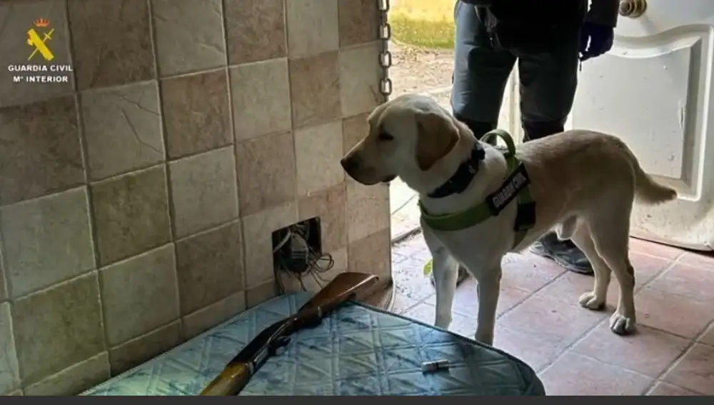 La Guardia Civil contó con el apoyo de perros especializados