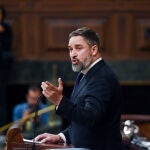 VÍDEO: Abascal afea a Feijóo la condena por lo de Sánchez cuando Vox no se sumó al "linchamiento" por su foto con Dorado