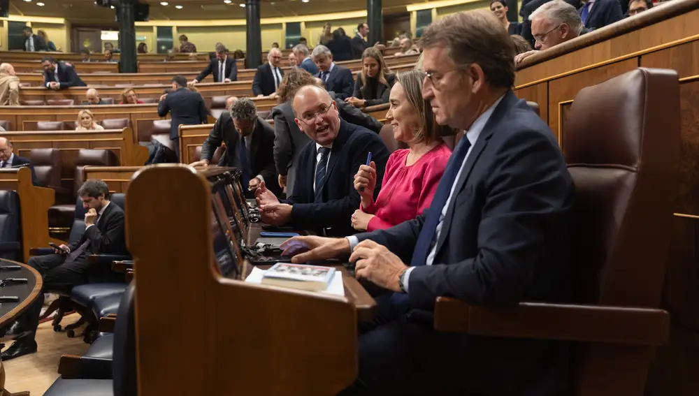 Feijóo, sobre la ley de amnistía: "Cada ataque de Sánchez contra la Constitución, lo denunciaremos hasta revertirlo"