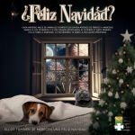 El cartel de los veterinarios andaluces