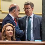 El líder del PP, Alberto Núñez Feijóo y el diputado de UPN, Alberto Catalá en el Congreso.