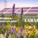 Mesa redonda Comunidades Solares