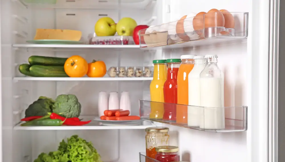Nevera con alimentos