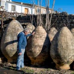 La alfarería de Úbeda (Jaén) vuelve a sus orígenes 