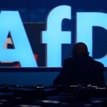 Alemania.- AfD se hace con la primera alcaldía de una ciudad importante de Alemania
