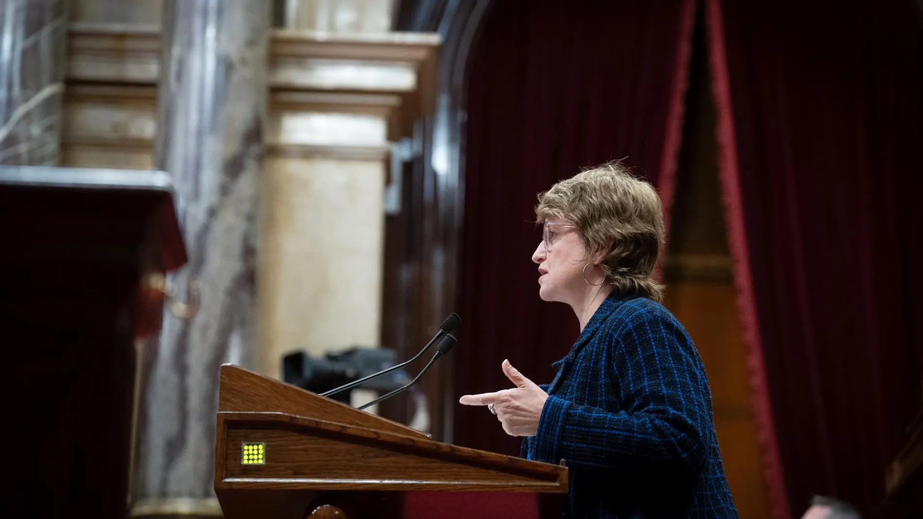 La consellera Anna Simó, en el Parlament