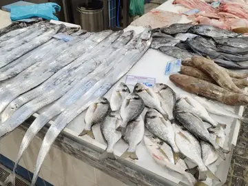 La frescura, variedad y calidad del pescado expuesto para su venta es asombrosa La frescura, variedad y calidad del pescado expuesto para su venta es asombrosa