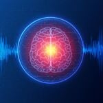 El cerebro cuenta con unos 86 millones de neuronas